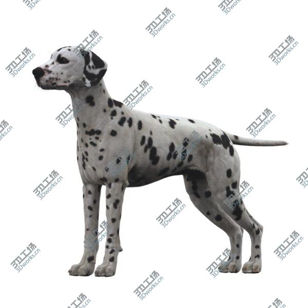 images/goods_img/20210312/Dalmatian 3D model/1.jpg